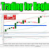 Forex Trading for Beginners | A Brief Guide to Forex Trading 2020