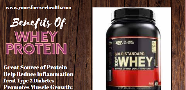 best whey protein powder