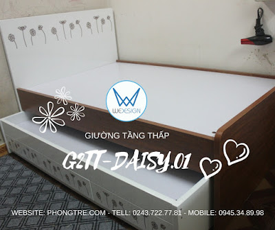 Mẫu giường tầng thấp vân gỗ lát tự nhiên trang trí hoa cúc xinh G2TT-DAISY.01