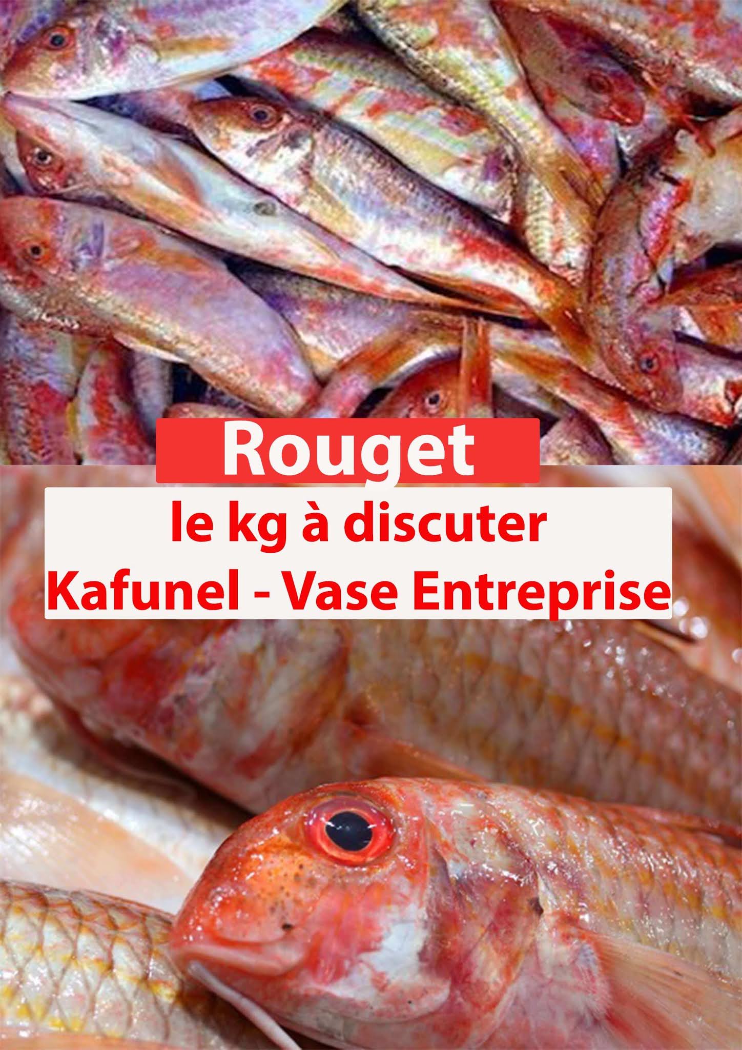 Ne plus avoir Peur de l'échec Mareyeur de Poissons et toutes espèces
