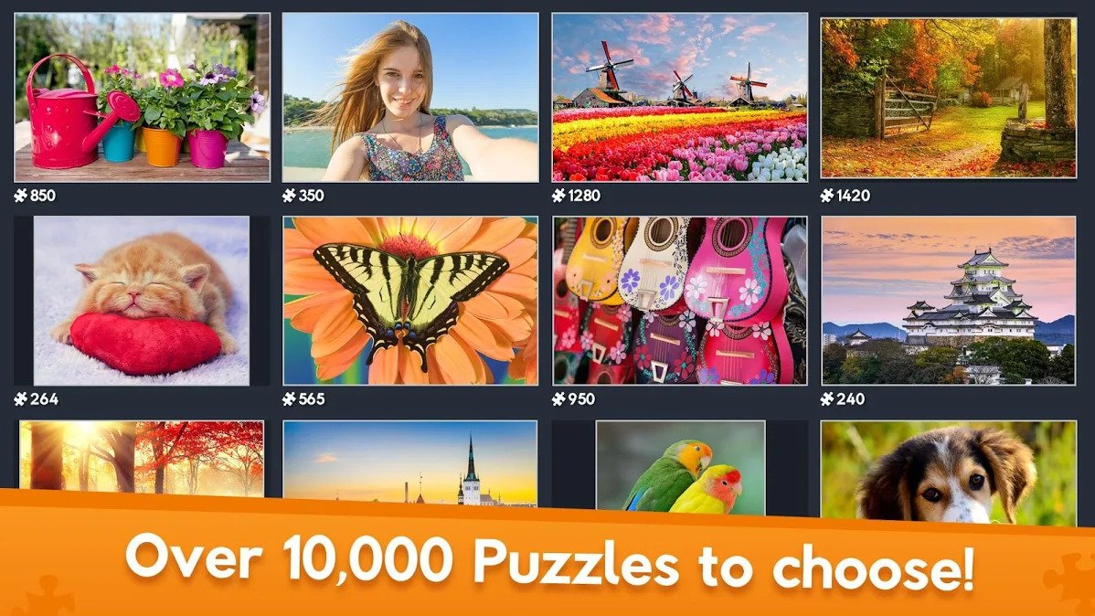 8 Best Jigsaw Puzzle Apps For Adults In 2020 8 Best Jigsaw Puzzle Apps For Adults In 2020