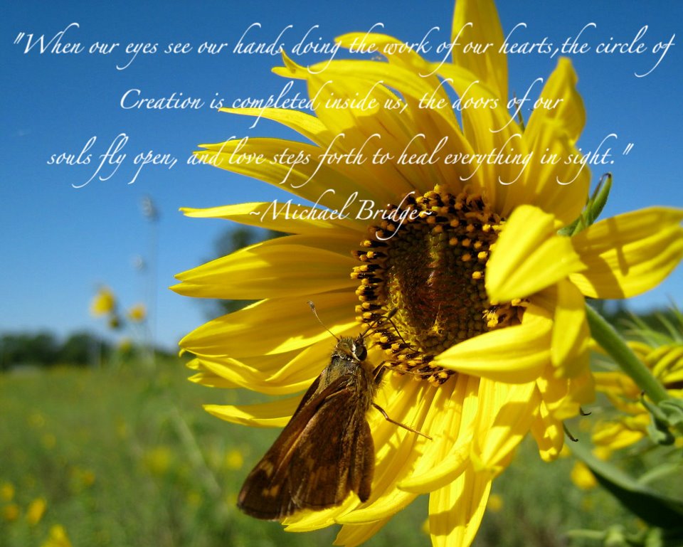 Quotes About Sunflowers. 