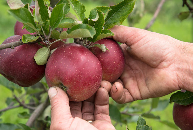S O L A R M E D I A Solarstromborse Fur Aargau