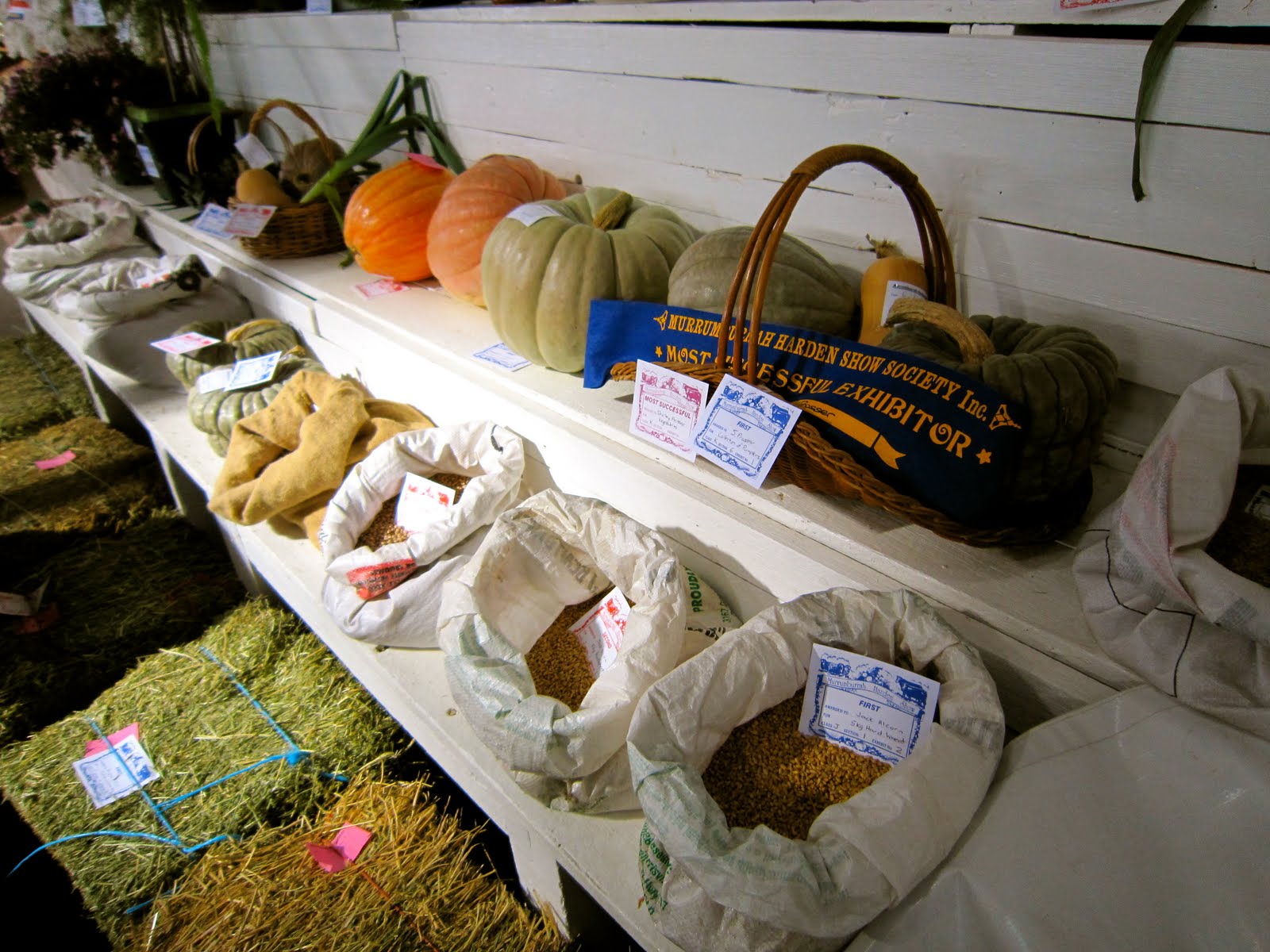 One Hungry Hen Murrumburrah Harden Spring Show