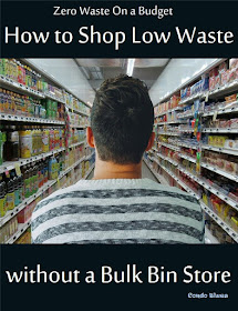 zero waste living on a budget at a conventional grocery store 