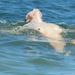 Joanna Krupa Haciendo Topless En Playa De Miami Foto 7