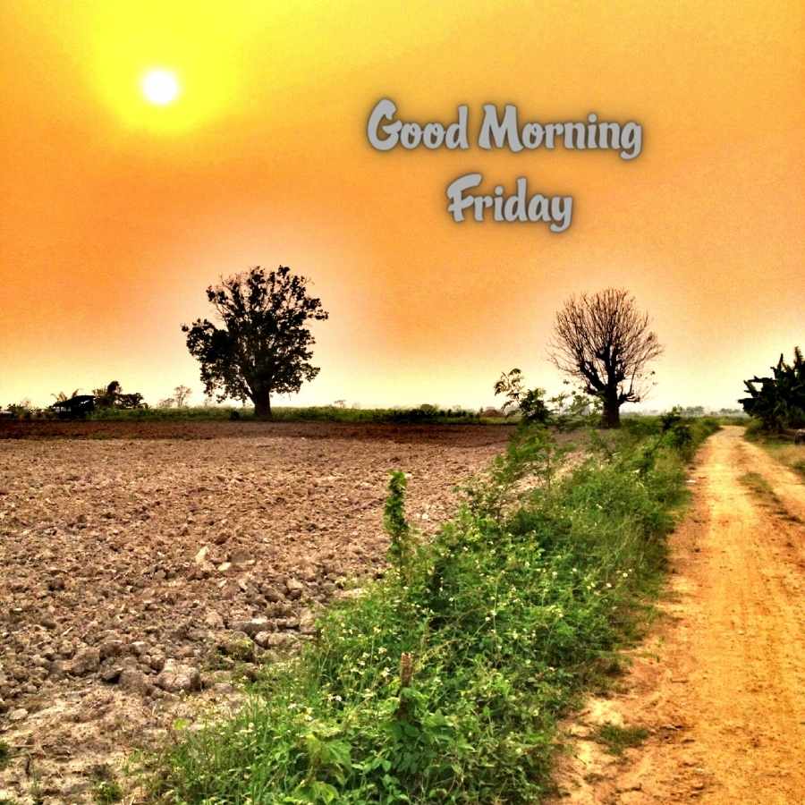 good morning friday pics