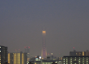 雨に煙る、夜の東京スカイツリー。 雨が降ると、いつもとは少し違う色に見えます . (skytree )