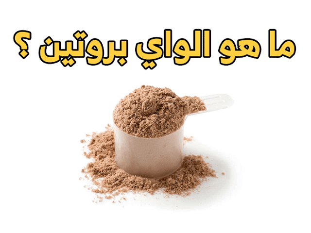 ما هو الواي بروتين ؟