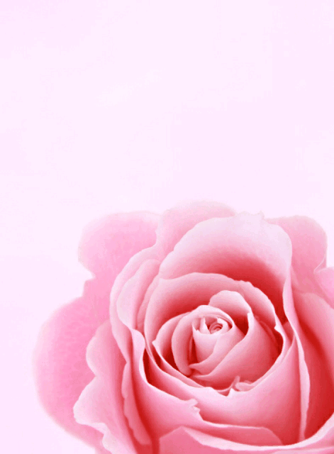 https encrypted tbn0 gstatic com images q tbn and9gcswodvtux80xpg02p3xzigthdvjqiqk55uztq usqp cau 2