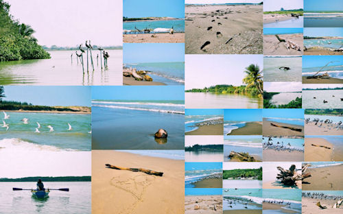 33 fotos de la playa y sus alrededores (Vacaciones)