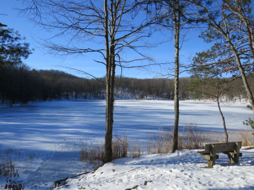 Bowman Lake
