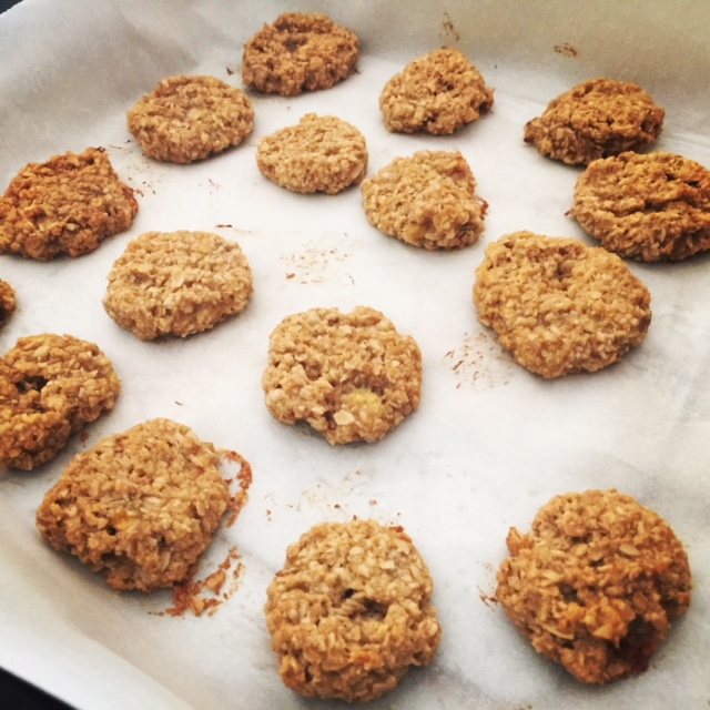 Oatmeal, Peanut Butter, Coconut Oil and Banana Dog Treats