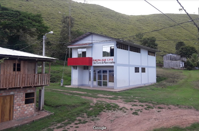Municipalidad del Centro Poblado Las Flores de Mamonaquihua (Cuumbuqui - Lamas)