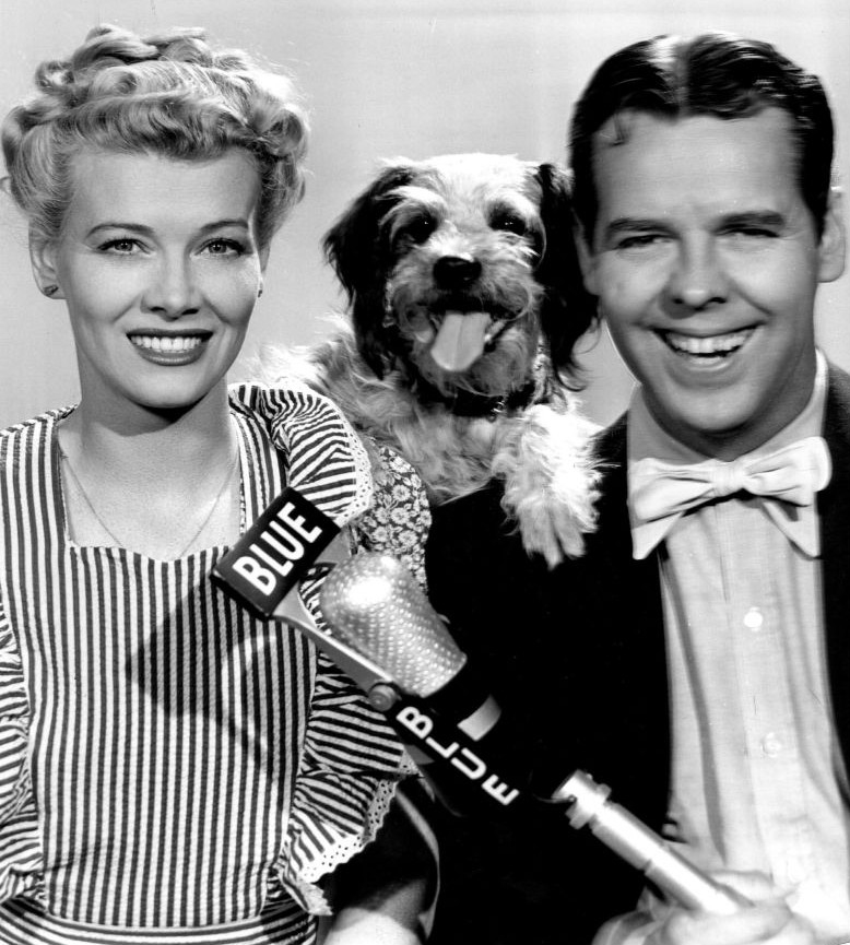 Famous Dogs In History Daisy Blondie And Dagwood S Dog
