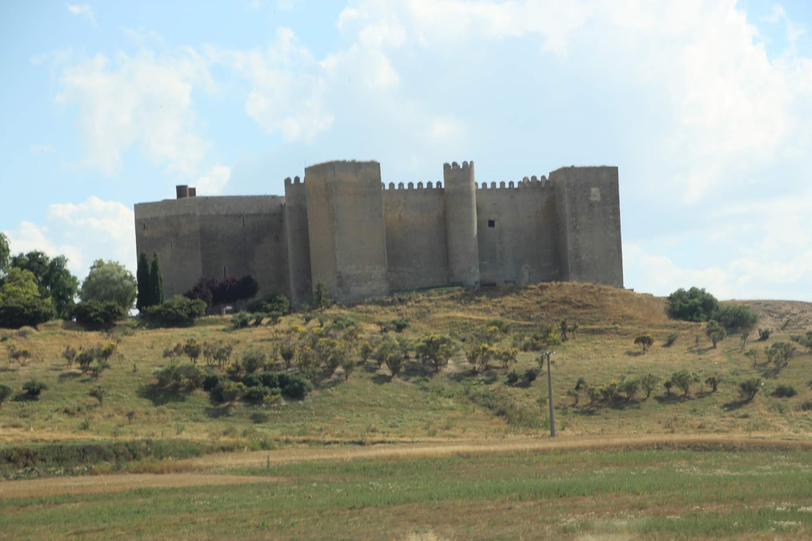 Historia y Genealogía Meneses de Campos y Montealegre de Campos. Palencia