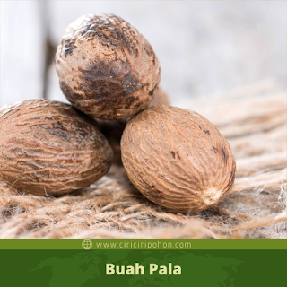 Buah Pala