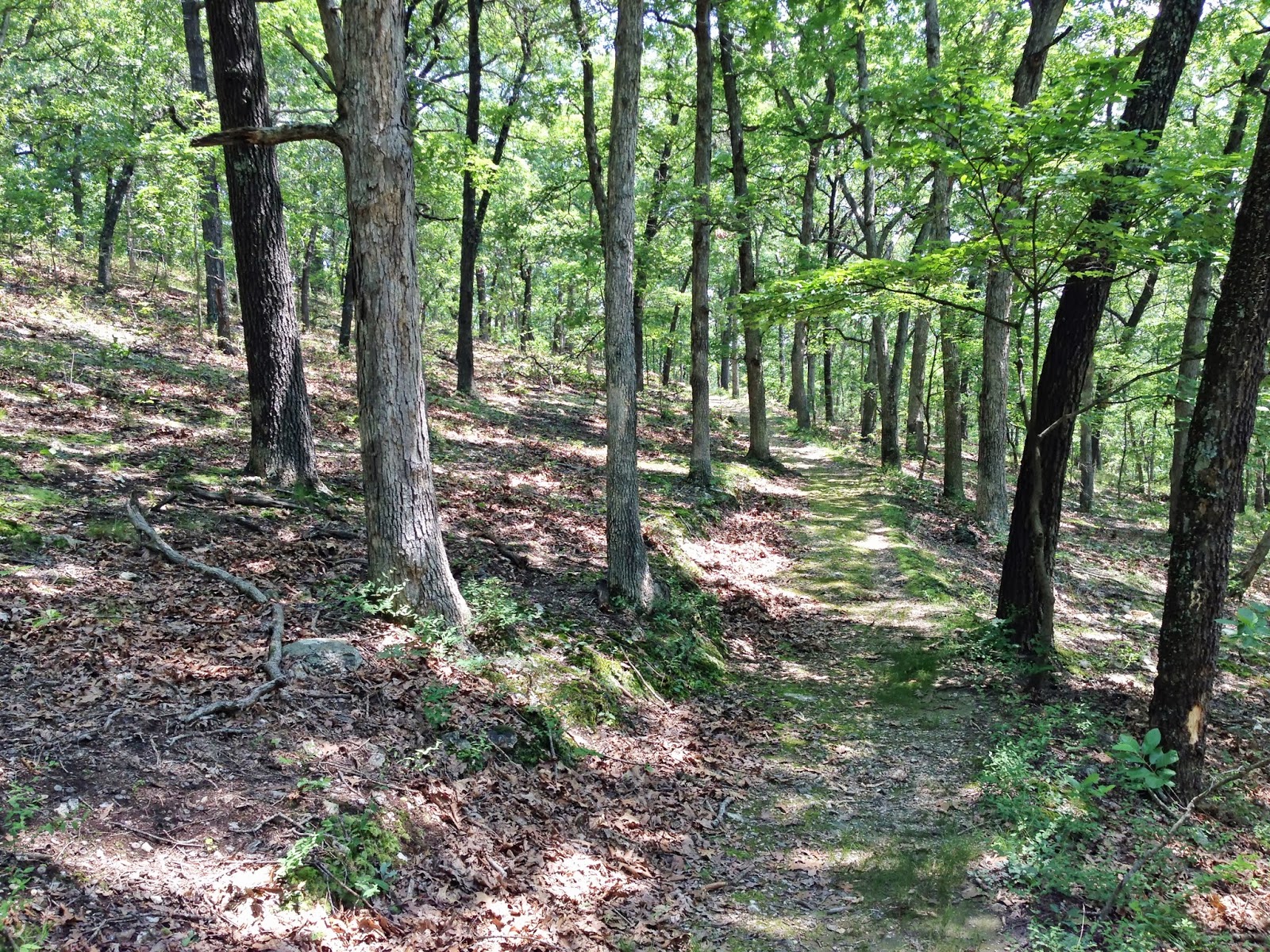 Turkey Ridge Trail 2013