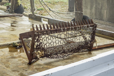 small oyster dredge for sale ebay small oyster dredge for sale ebay
