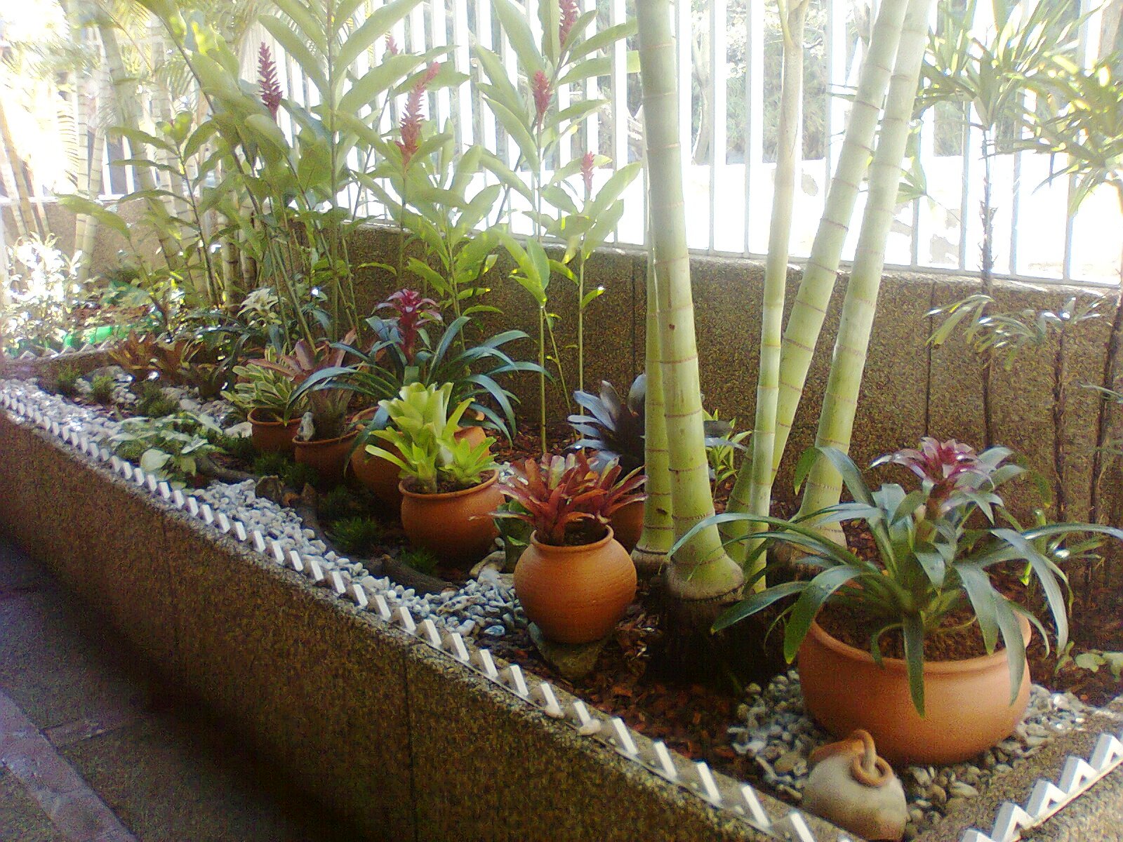 Jardinería e Imagen: Renovación de un jardín interior en la Residencia