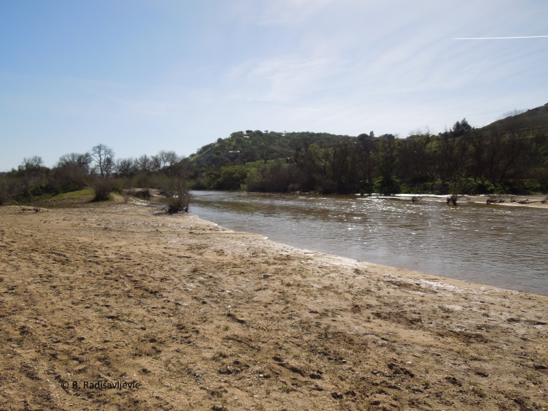 Paso Robles in Photos Short Walk to the River