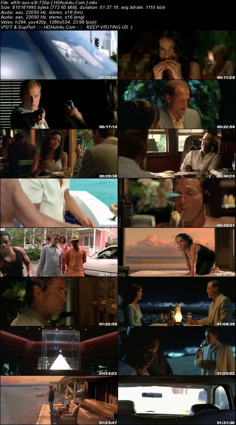 After The Sunset 2004 300mb Hindi Dual Audio 480p BluRay Download