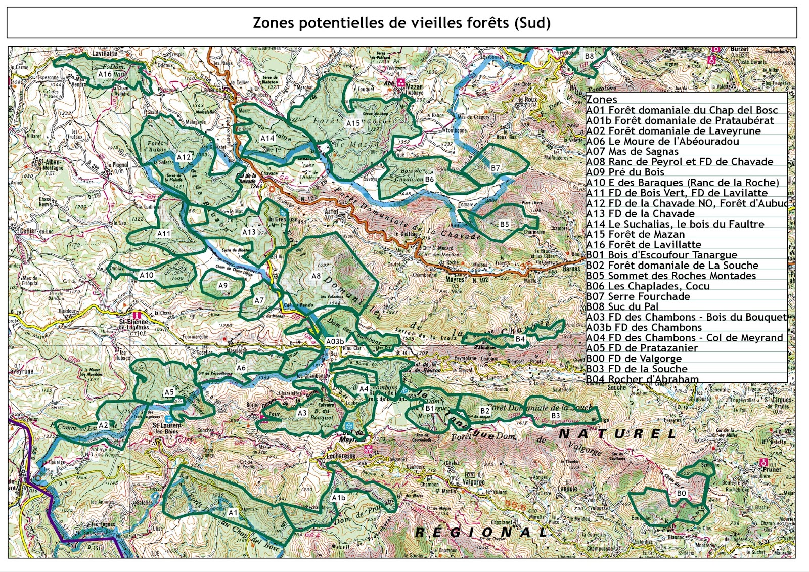 Les vieilles forêts de la montagne
