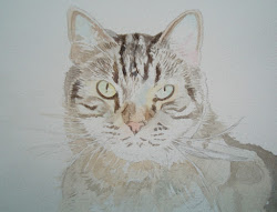 watercolor paint cats taught strictly while dark