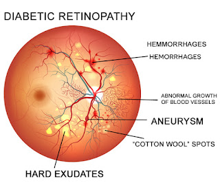 http://www.amrithospital.com/