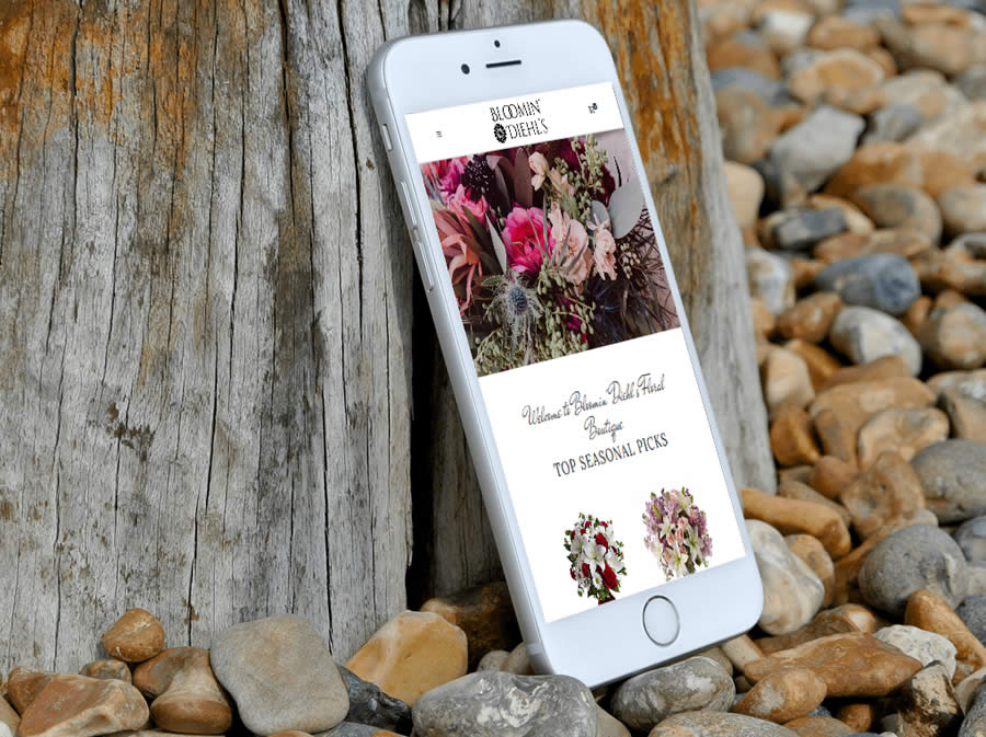 New Adventure Web Design & Digital Marketing