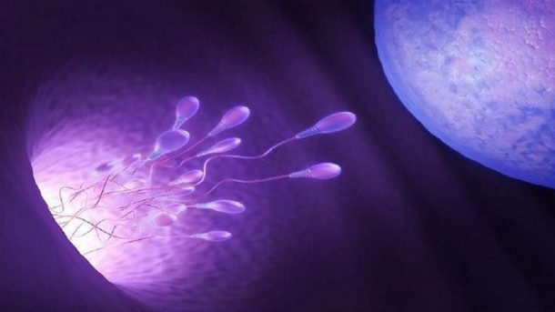 نظام غذائي يخفض خصوبة الرجال بمن فيهم الأصحاء !