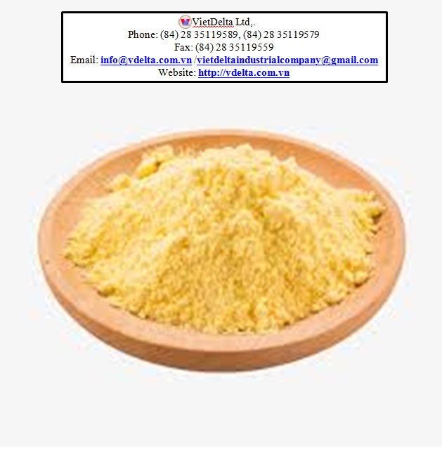 Ginger Exporters Ginger Powder