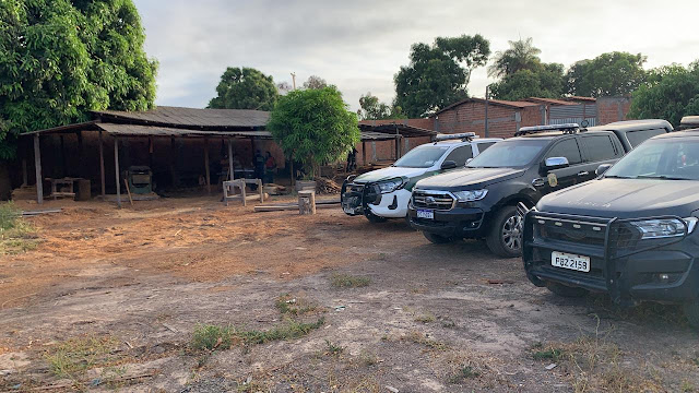 PF deflagra operações de combate a extração ilegal de madeira em terras indígenas, no sul do Maranhão