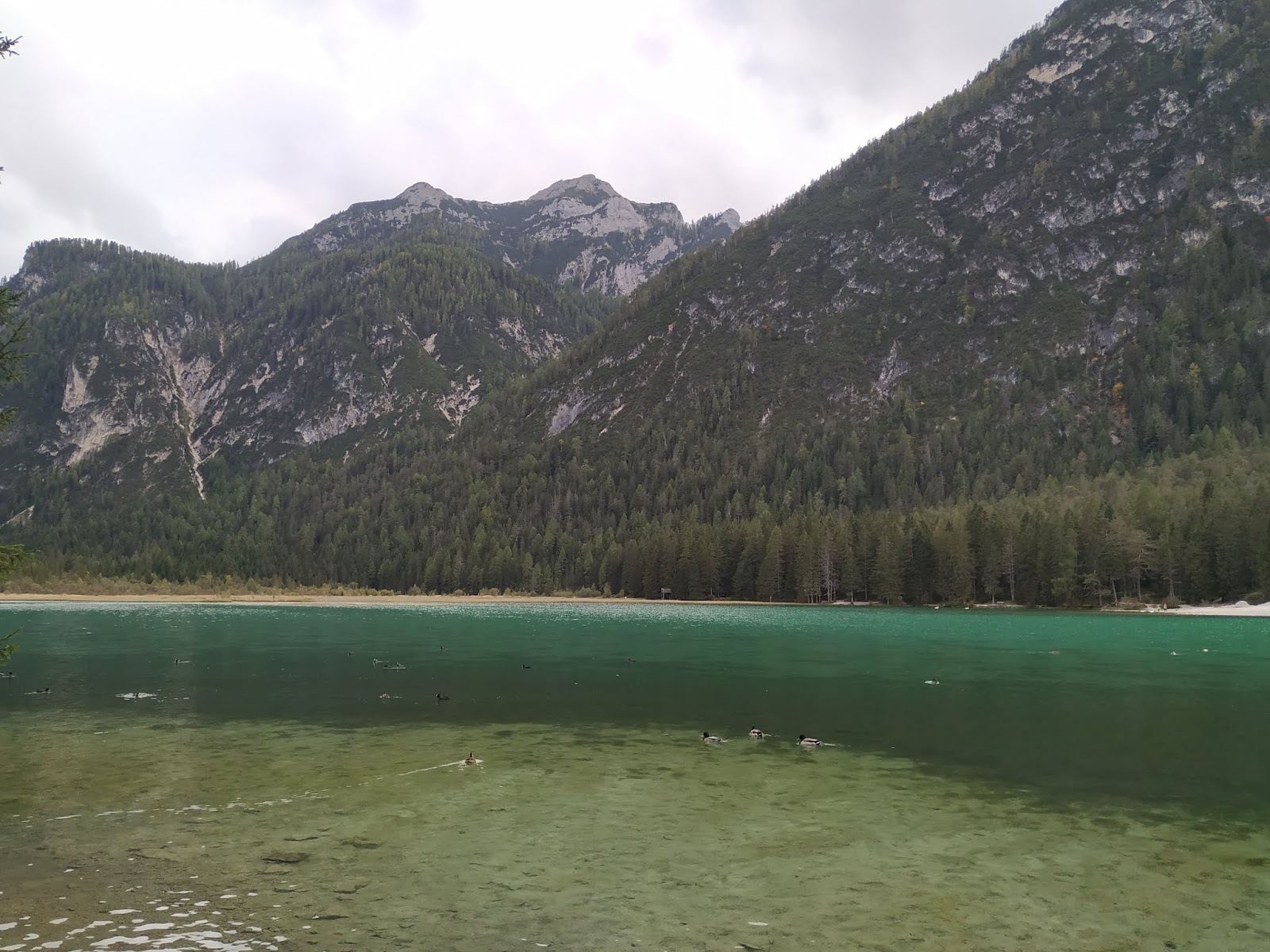 Día 6, Lago di Braies y visita al Parque Natural de Fanes. - Dolomitas Octubre 2019 (6)