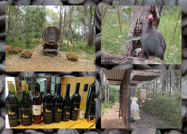 Margaret River Wine and Birds at Cape Grace Winery