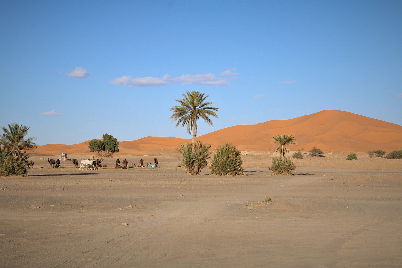 Самая сухая пустыня в африке