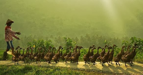 Contoh Soal Dan Pembahasan Barisan Aritmatika Contoh Soal Dan Pembahasan Barisan Aritmatika