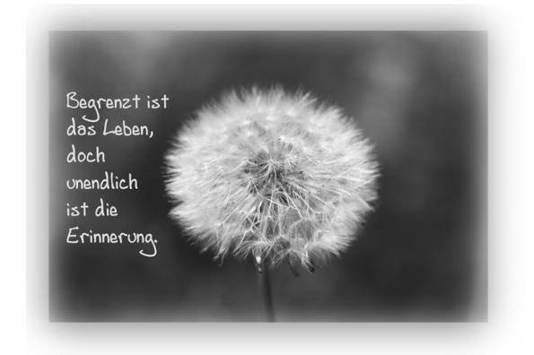 Beierts Nadelspiel Jan S 8 Todestag
