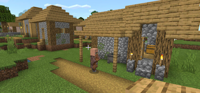Q 7. HOW MANY HEALTH POINTS DOES A VILLAGER HAVE?