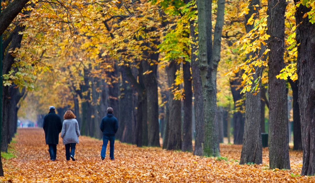 Fun Things To Do in Chester County This Weekend For Families and Kids