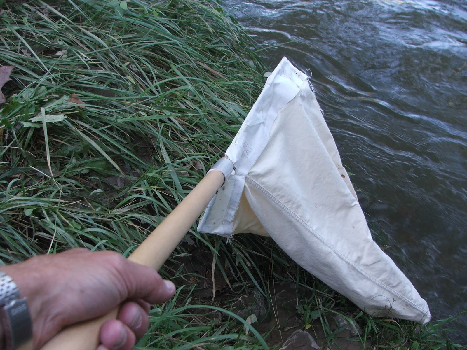Virginia Water Radio Episode 336 10 3 16 A Streamside Exploration For Insects And Spiders