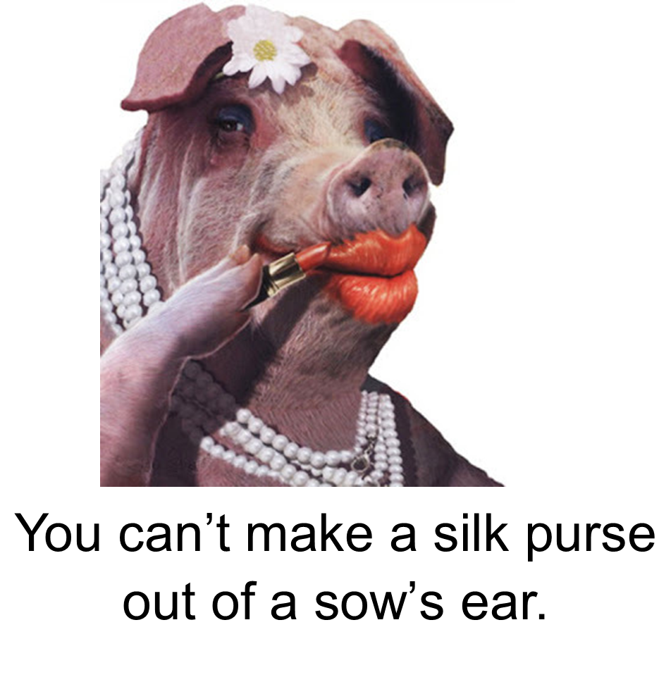 silk purse sow's ear