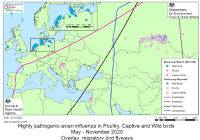 Avian Flu Diary: UK: H5N8 Detected in Wild Birds In Gloucestershire