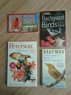 Photo of beginner books purchased for this article