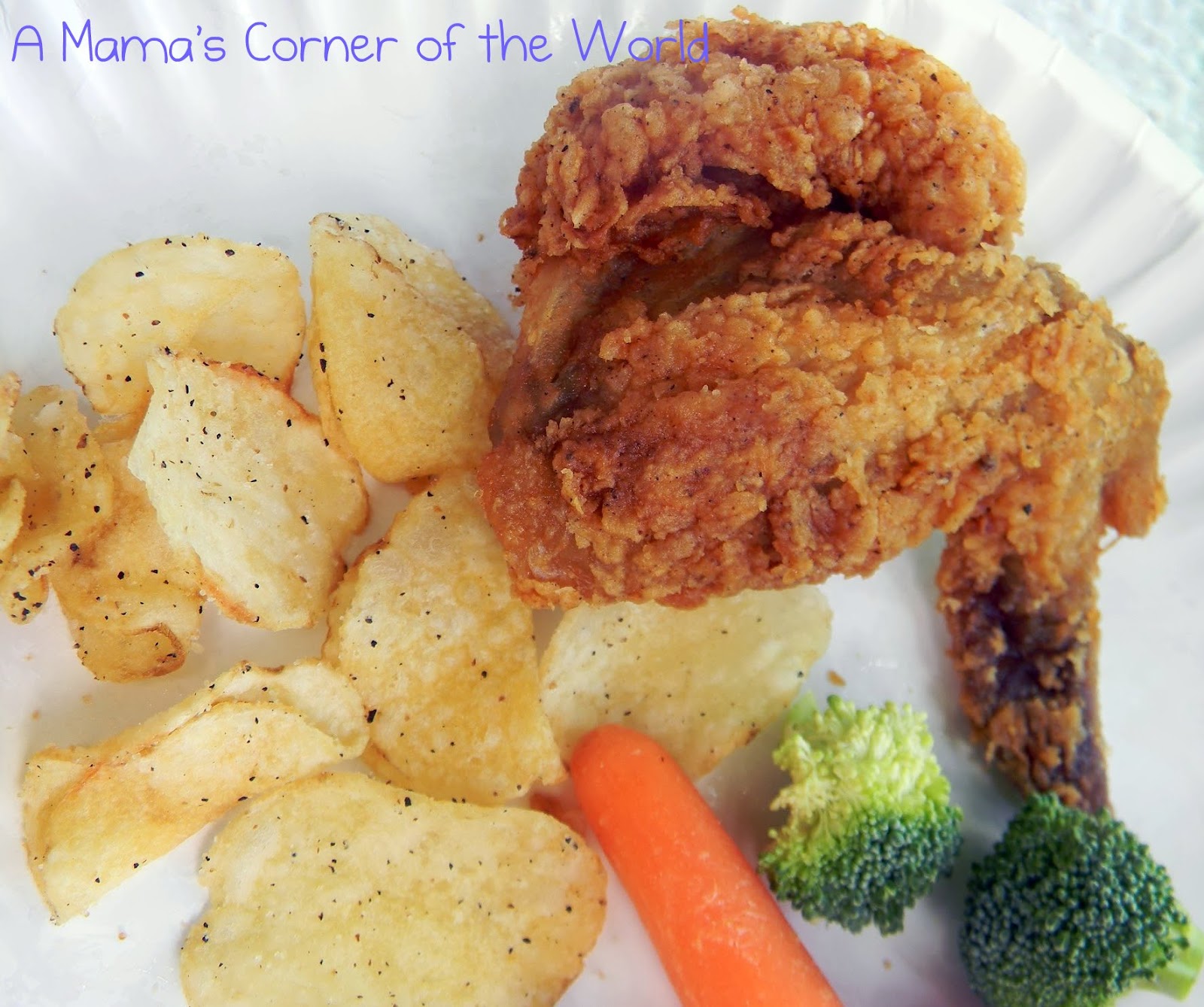 Last Minute Picnic with Kroger Deli Fried Chicken and Side Dishes