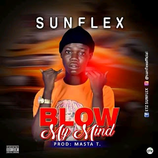 Download Mp3:  Sunflex - Blow my mind