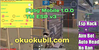 Pubg Mobile 1.0.0 TM ESP v3- v1 Menu Esp + Aimbot Hilesi Android Kasım 2020 Tüm Sürüm
