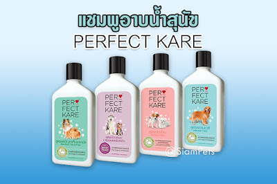 แชมพูอาบน้ำสุนัข เพอร์เฟคแคร์ Perfect Kare รักษาโรคผิวหนัง แก้คัน ขนร่วง