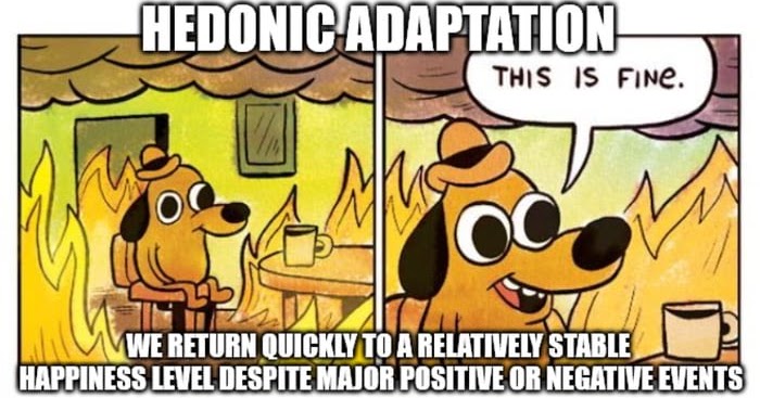 hedonic adaptation example