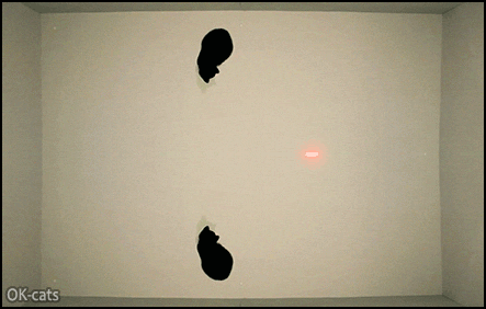 Art Cat GIF • 2 black kitties watching a big crazy red dot in the room. Perpetual motion Art Cat GIF • 2 black kitties watching a big crazy red dot in the room. Perpetual motion